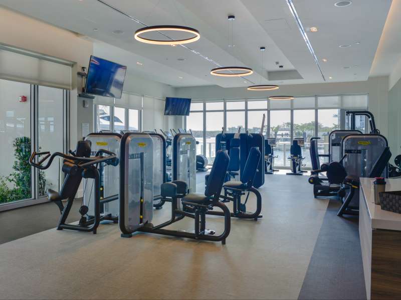 Image - 3