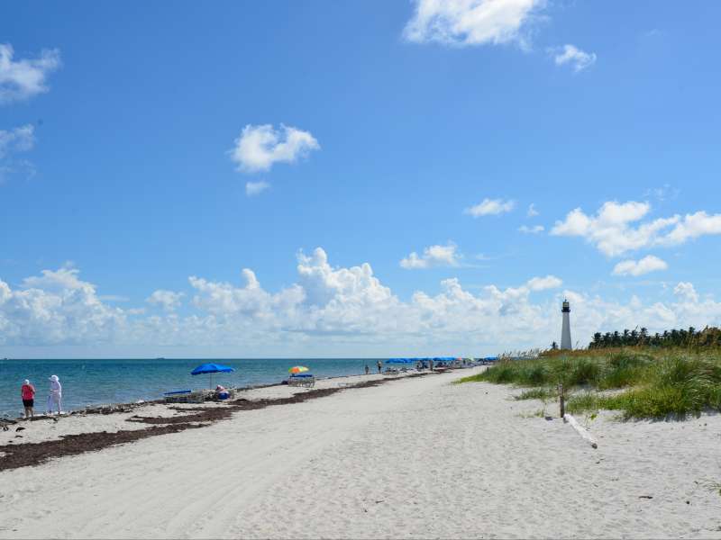 Image - 4