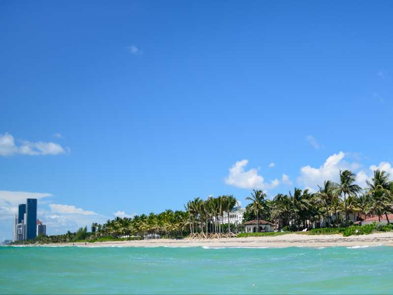 Image - 1