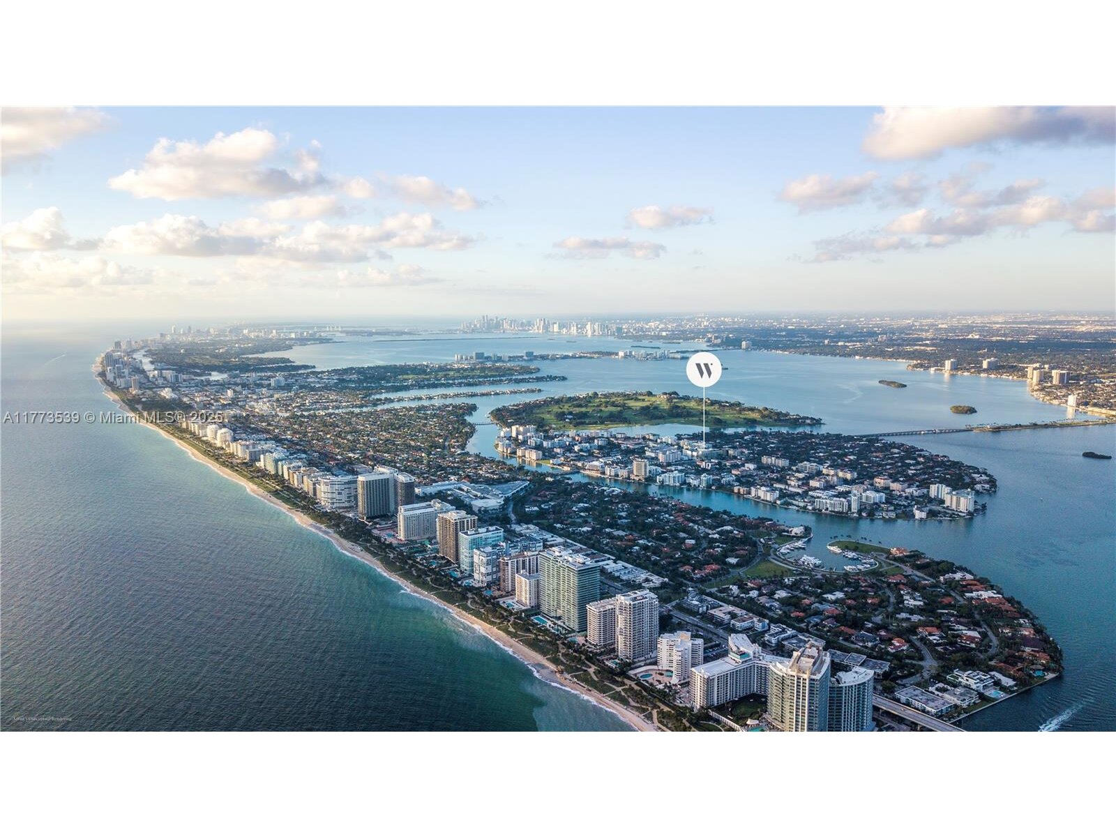 Image - 1
