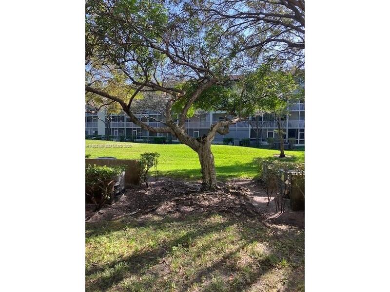 Image - 1