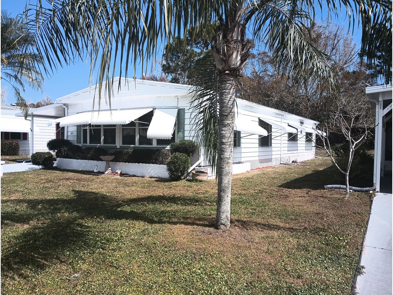 Image - 1