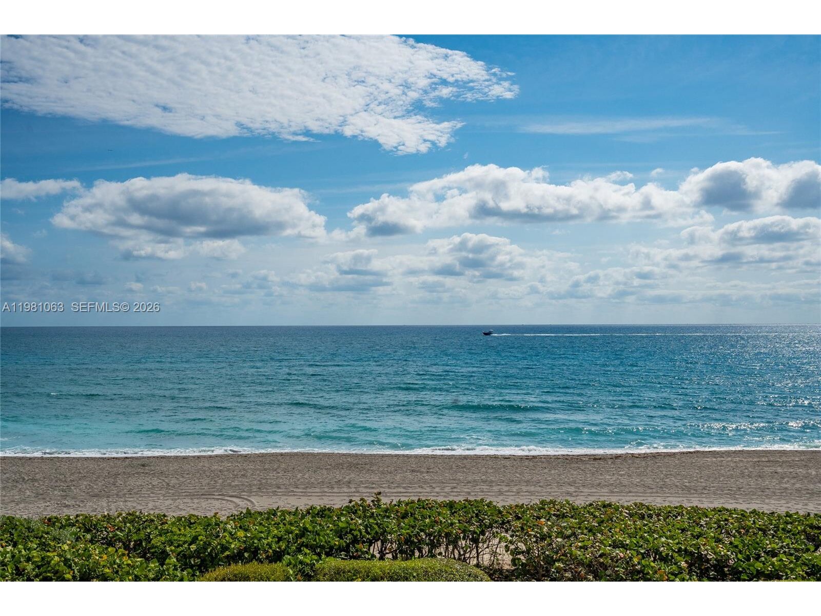 Image - 1