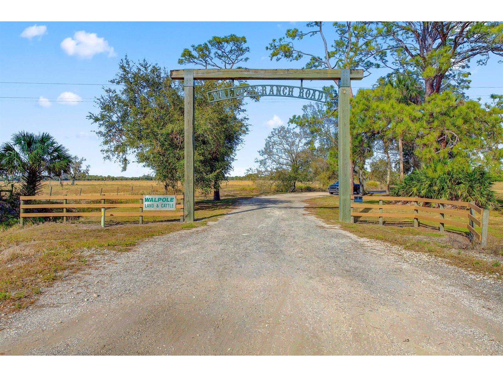 Image - 1