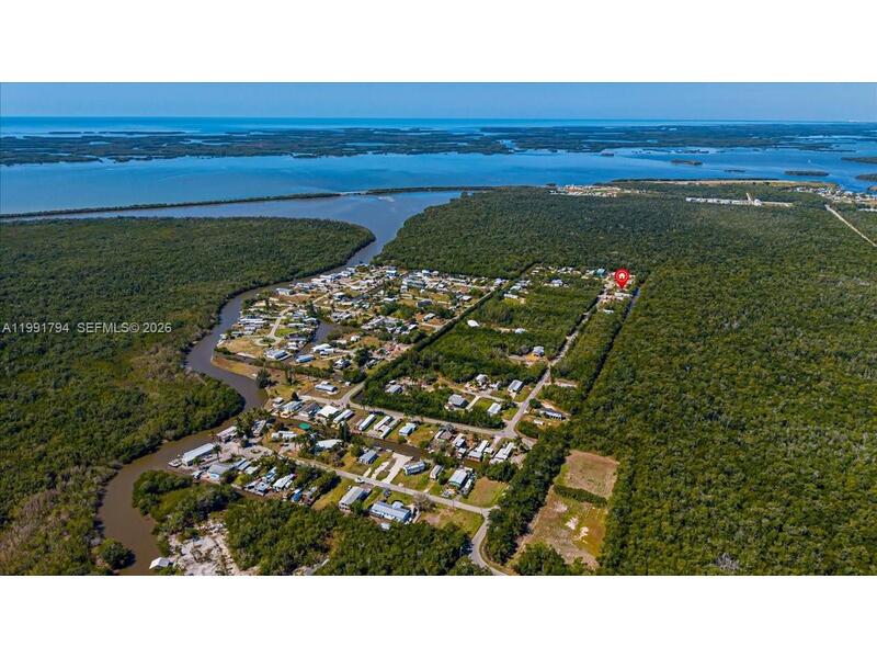 Image - 1