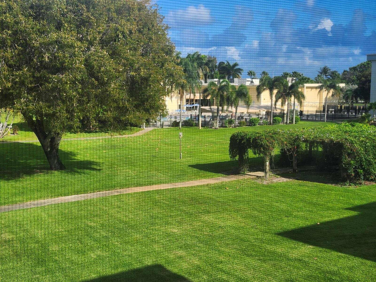Image - 1