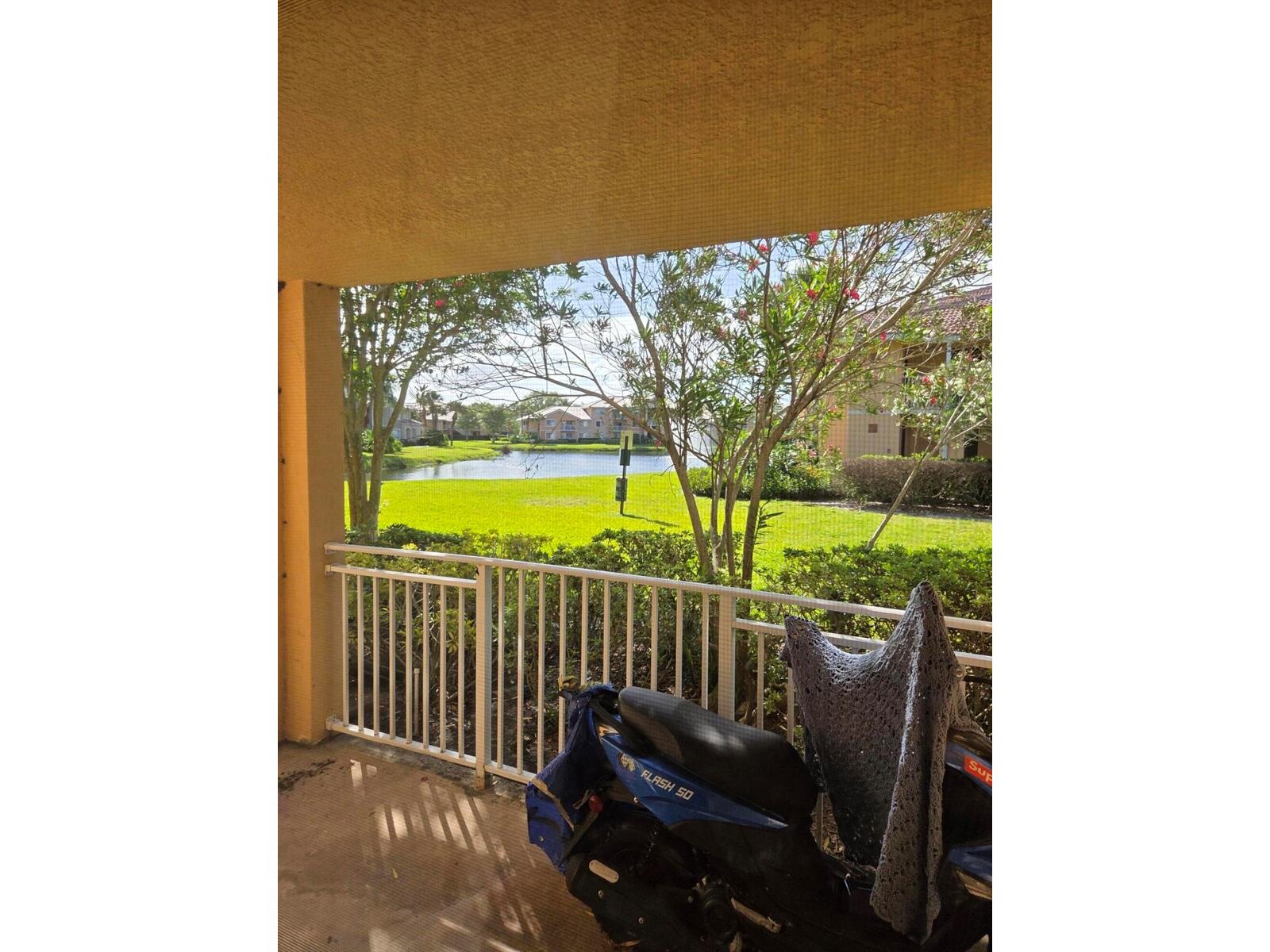 Image - 1