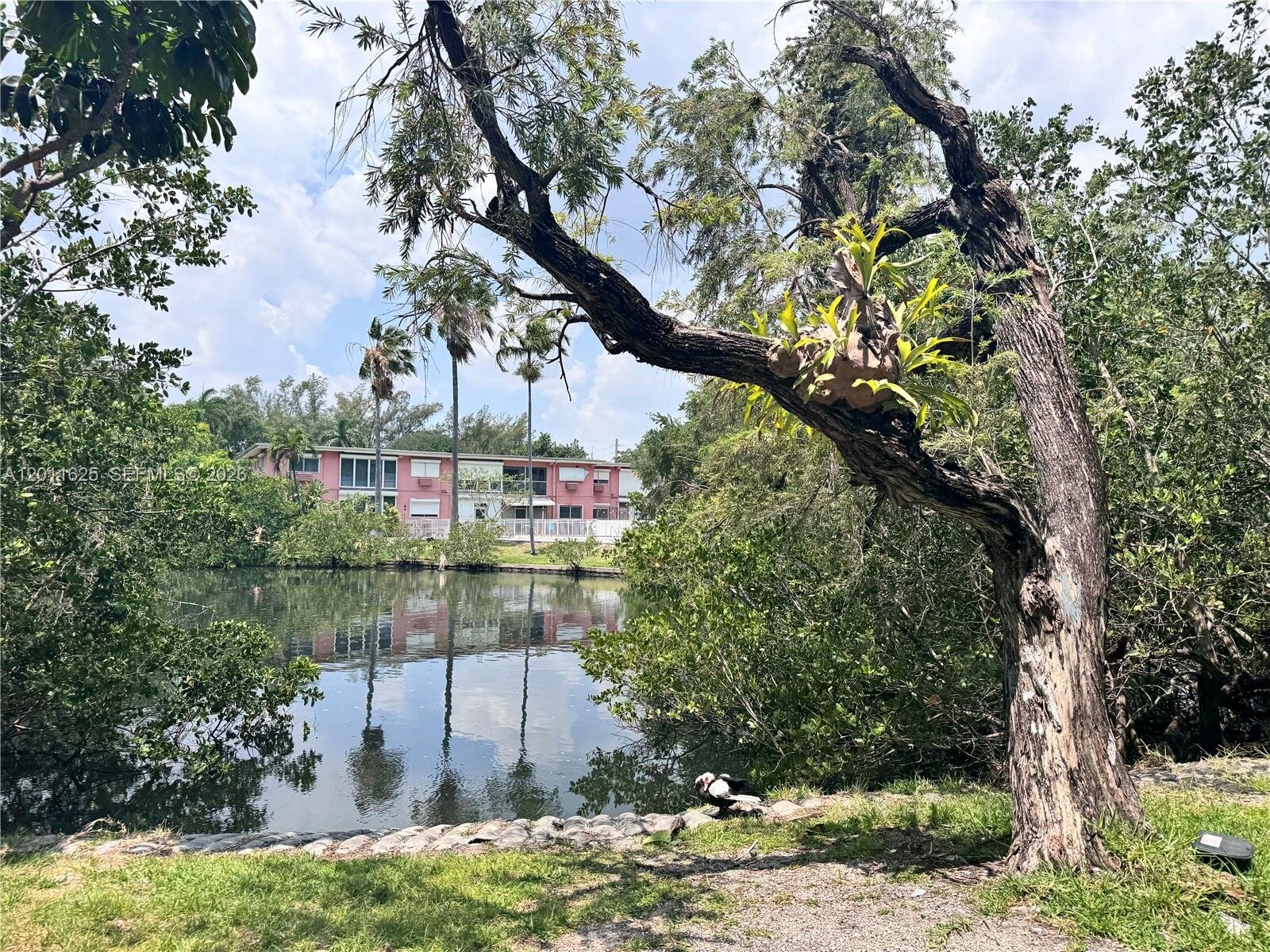 Image - 1