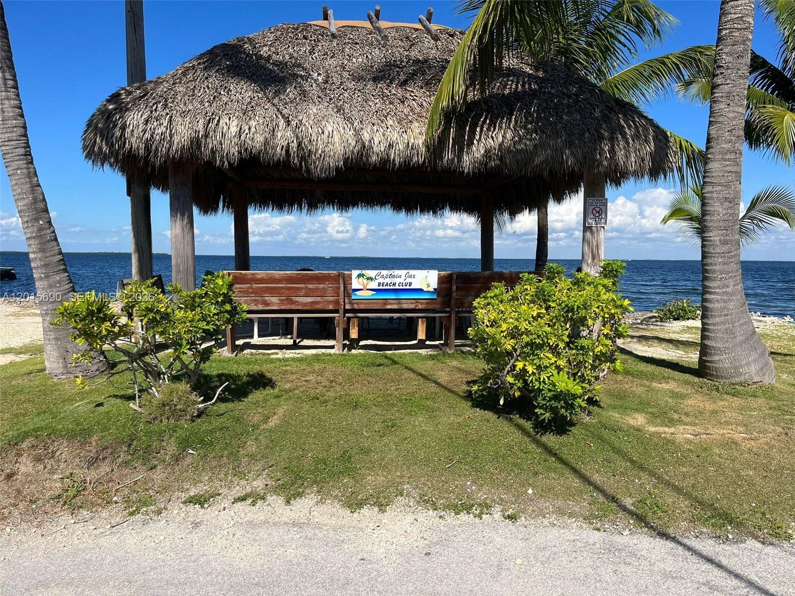 Image - 1