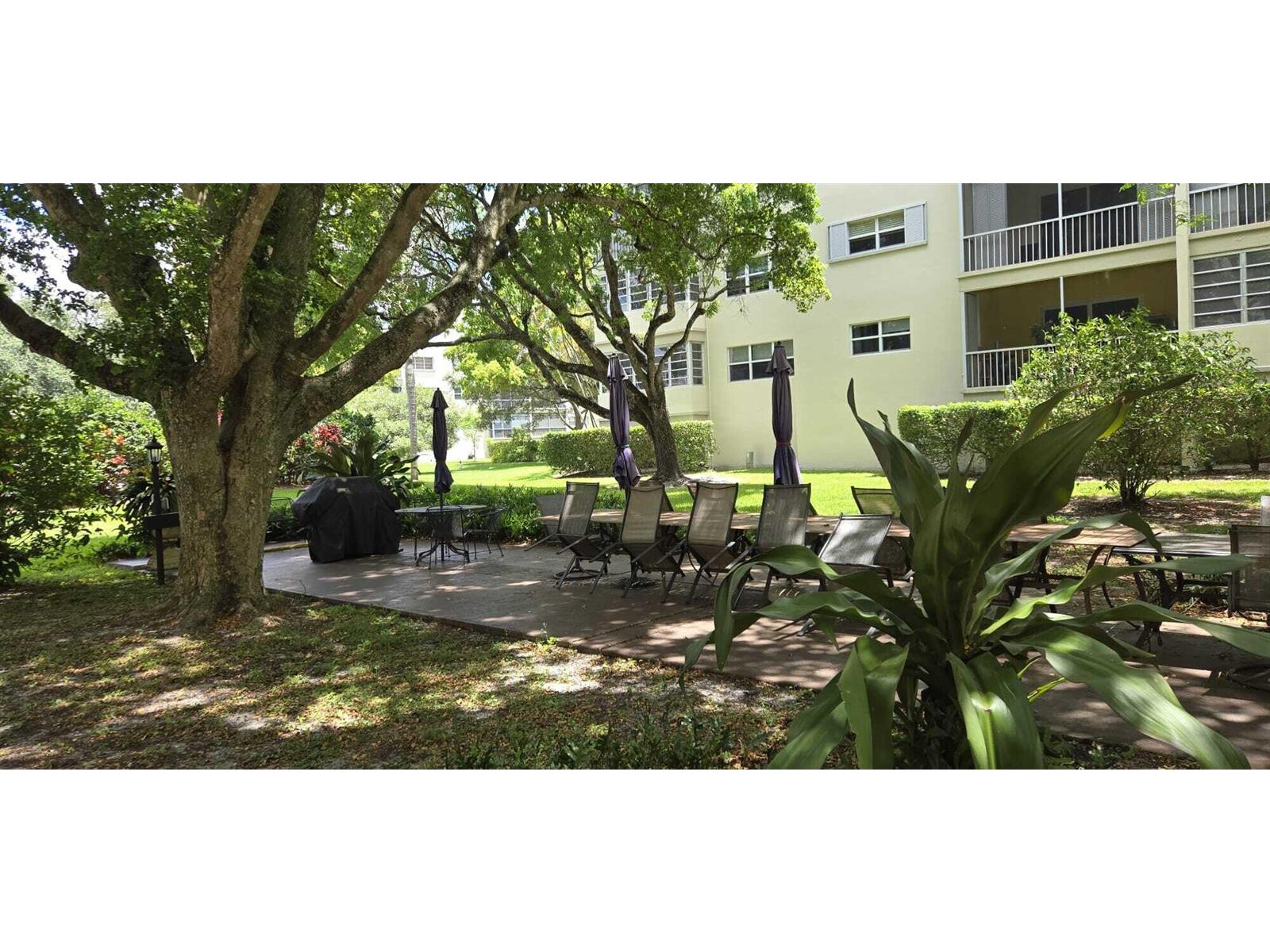 Image - 1
