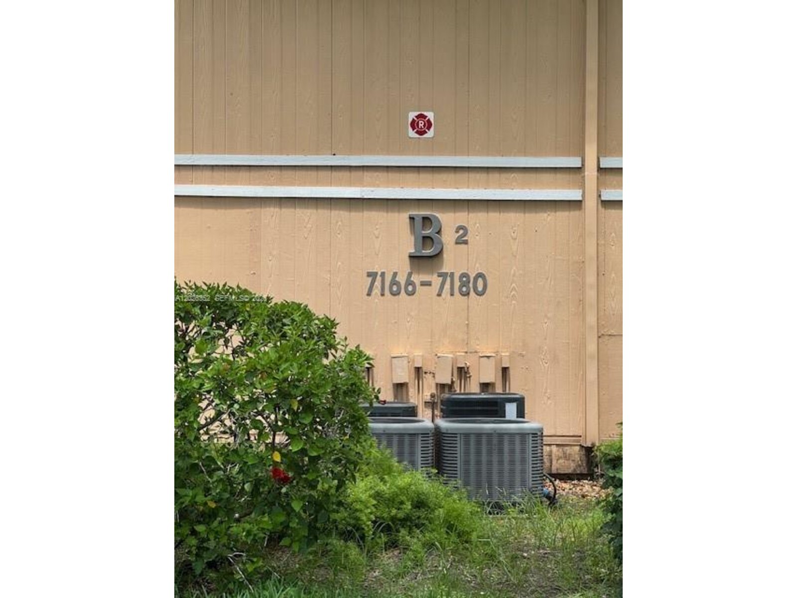 Image - 1