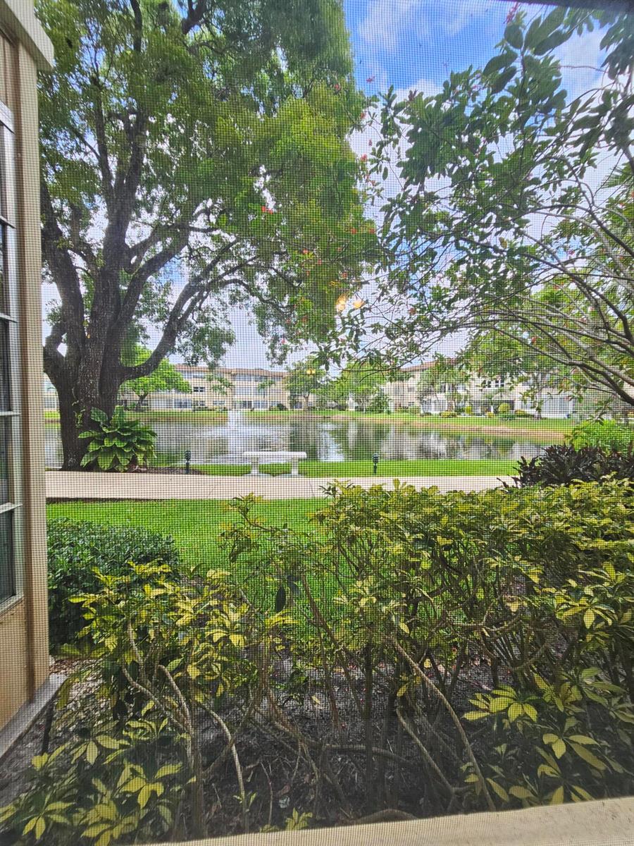 Image - 3