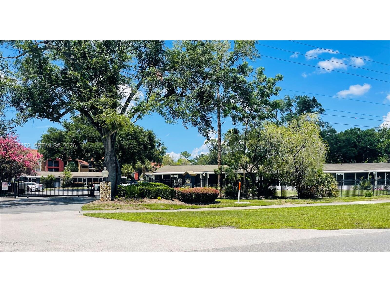 Image - 1