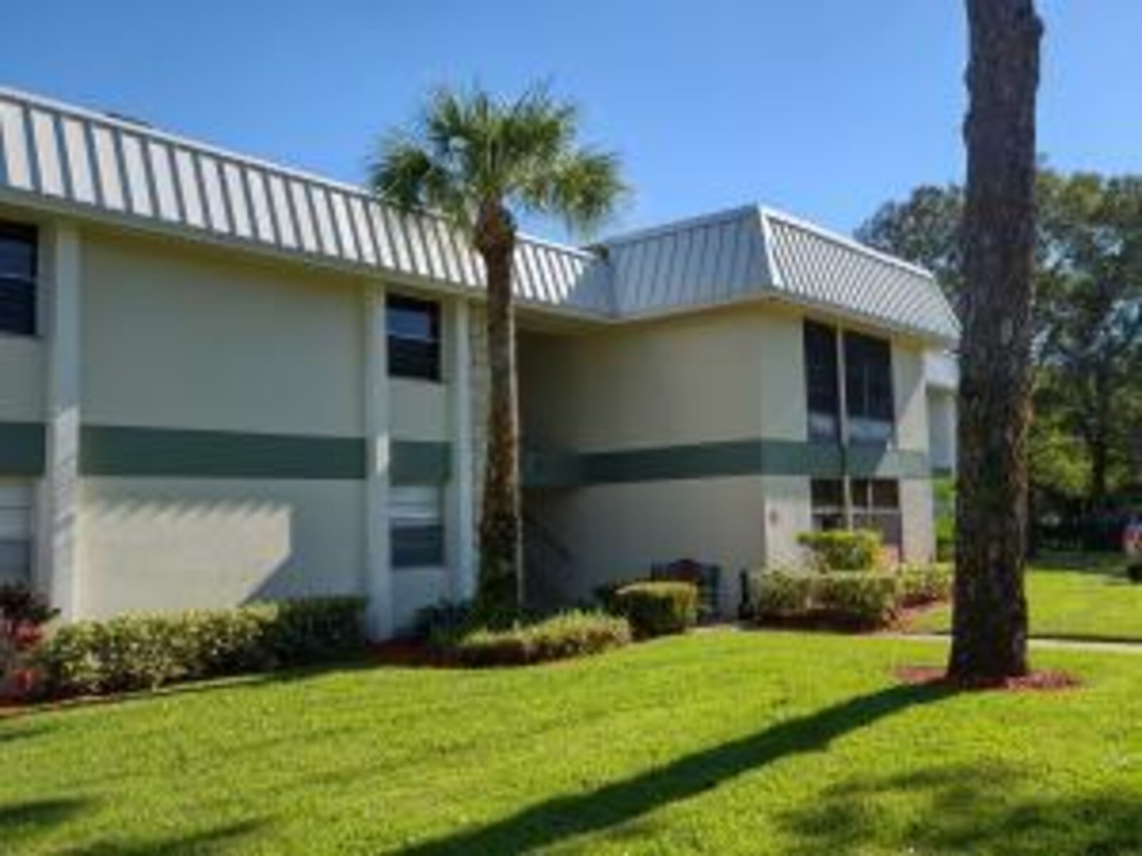 Image - 5