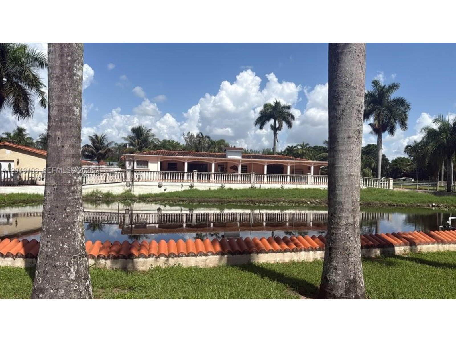 Image - 1