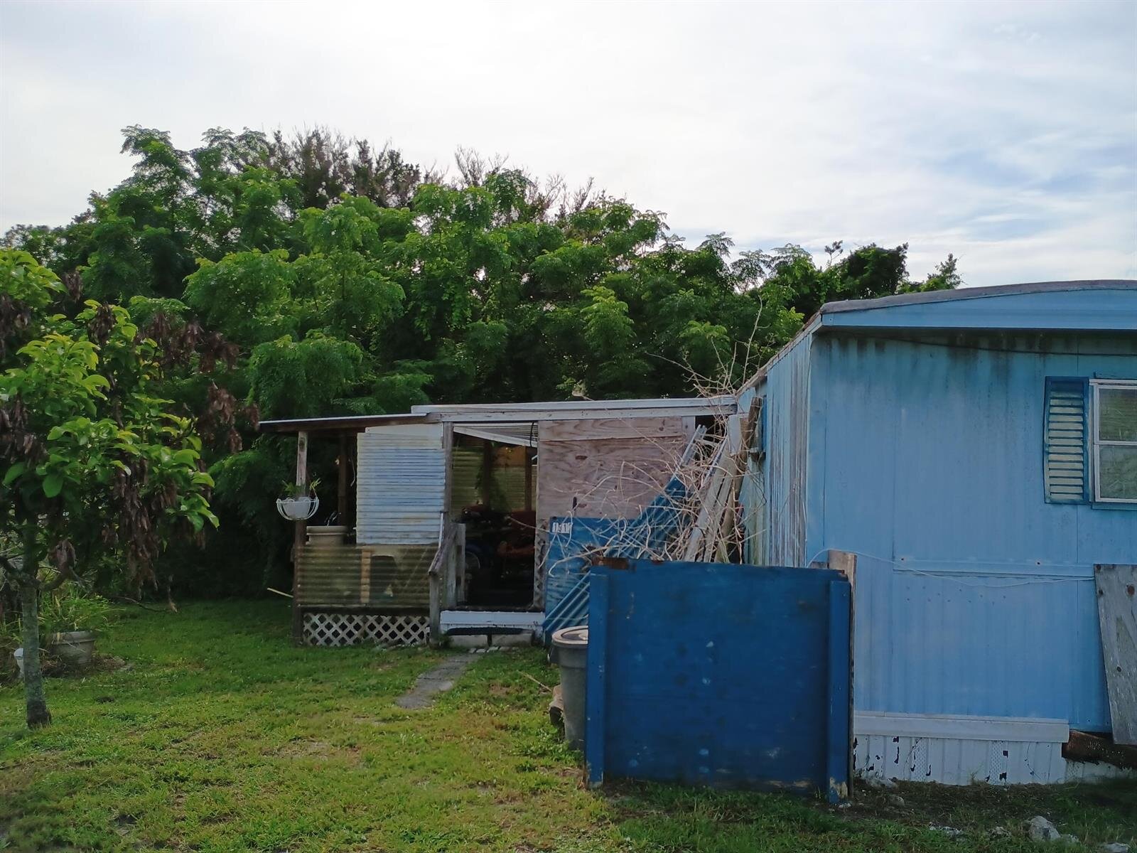 Image - 1