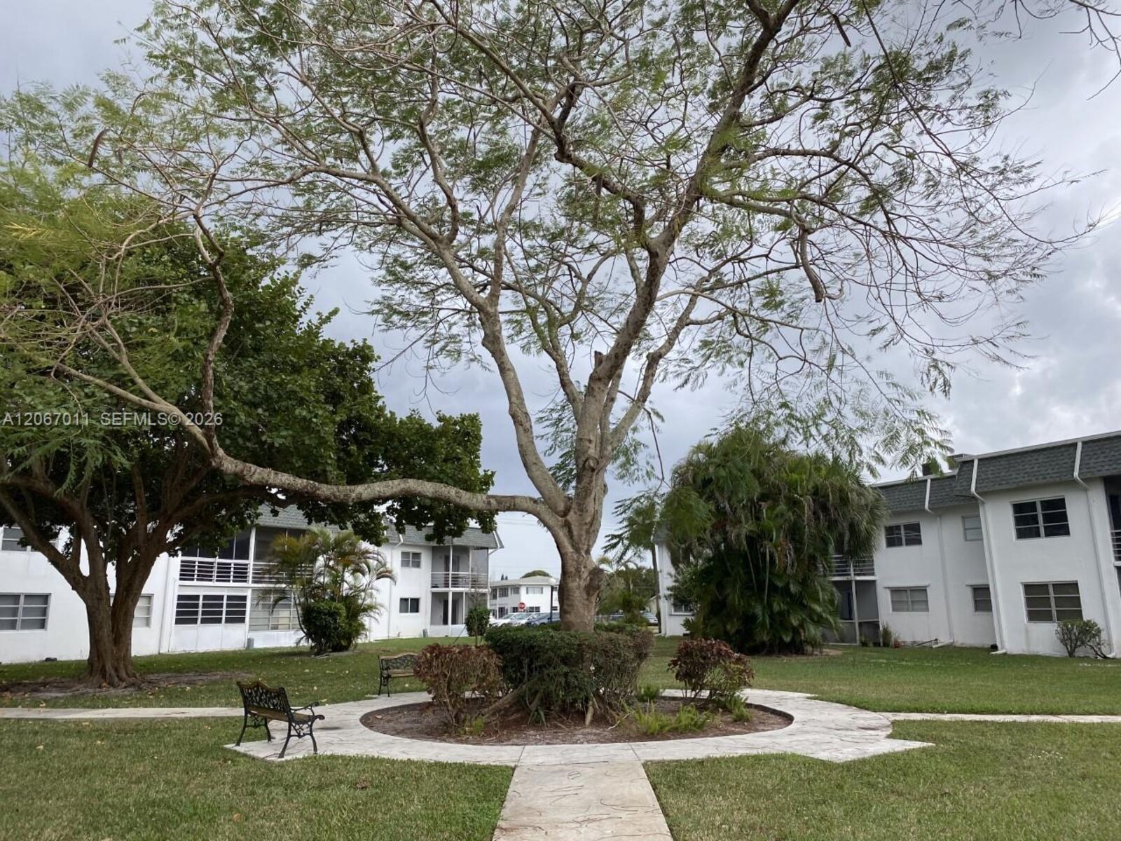Image - 2