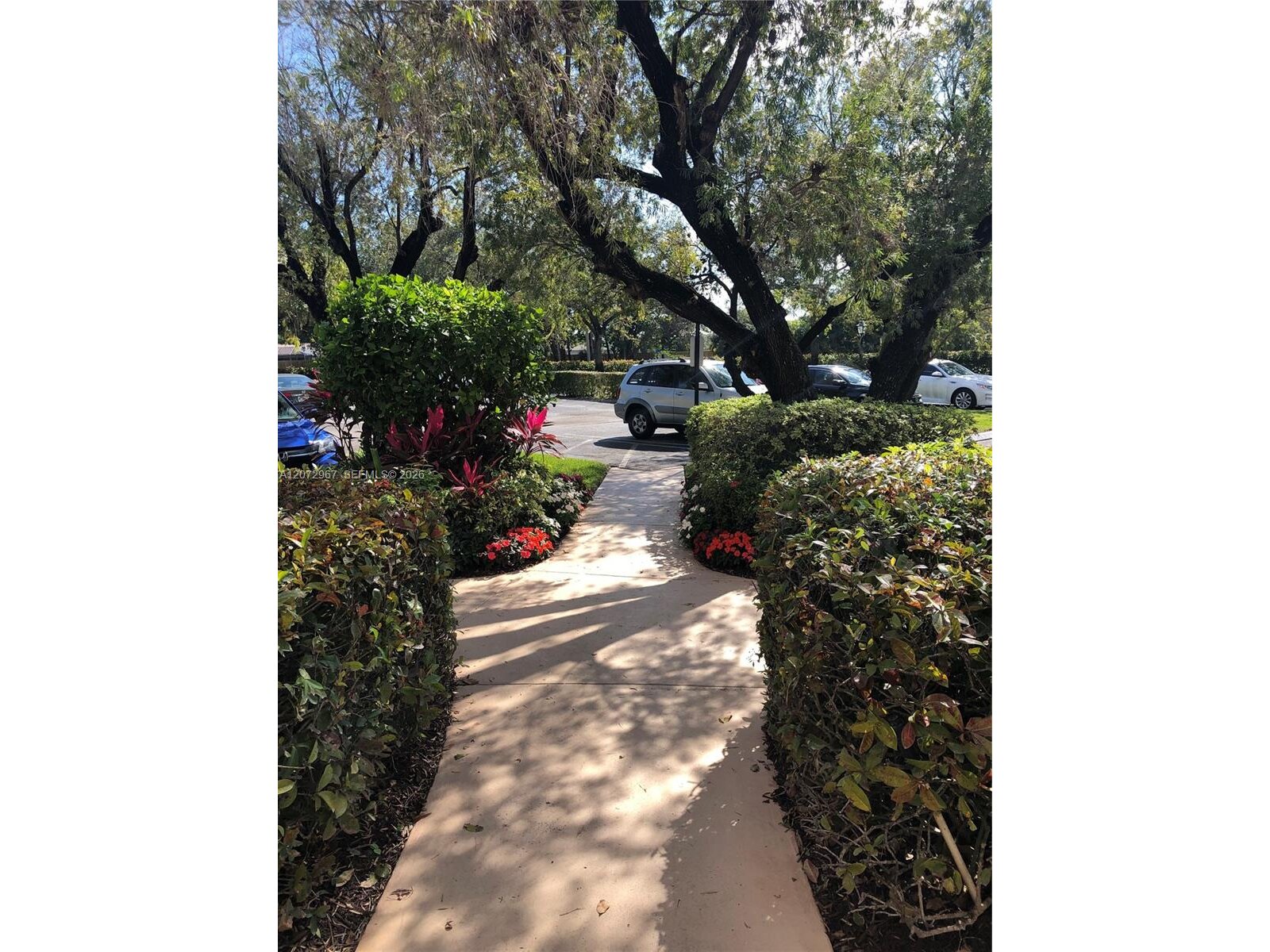 Image - 3