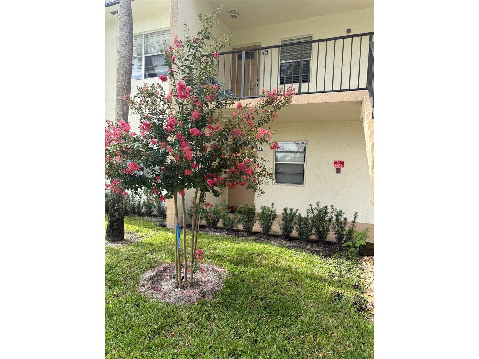 Image - 3