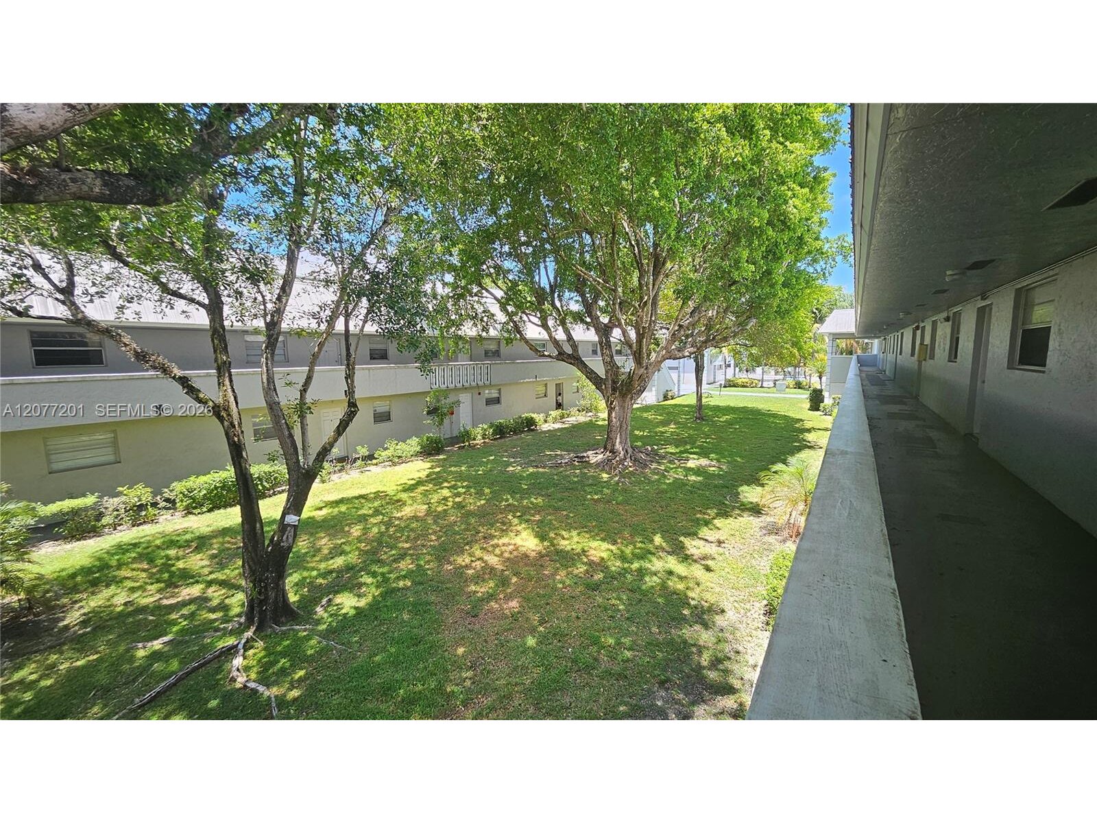 Image - 5