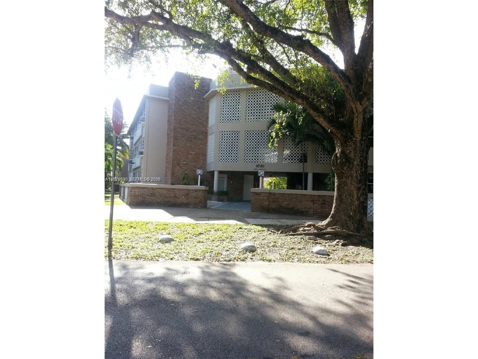 Image - 3