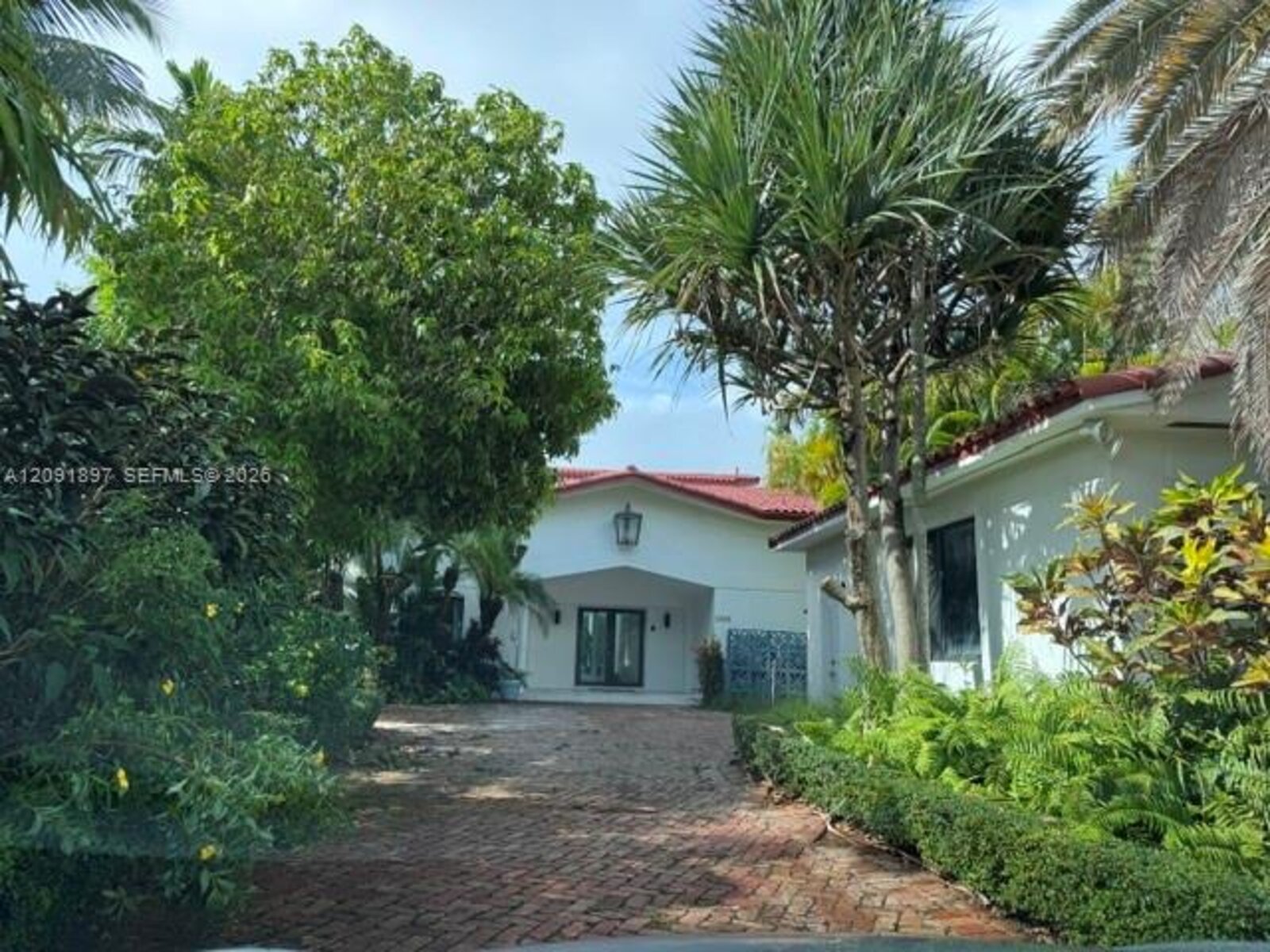 Image - 1