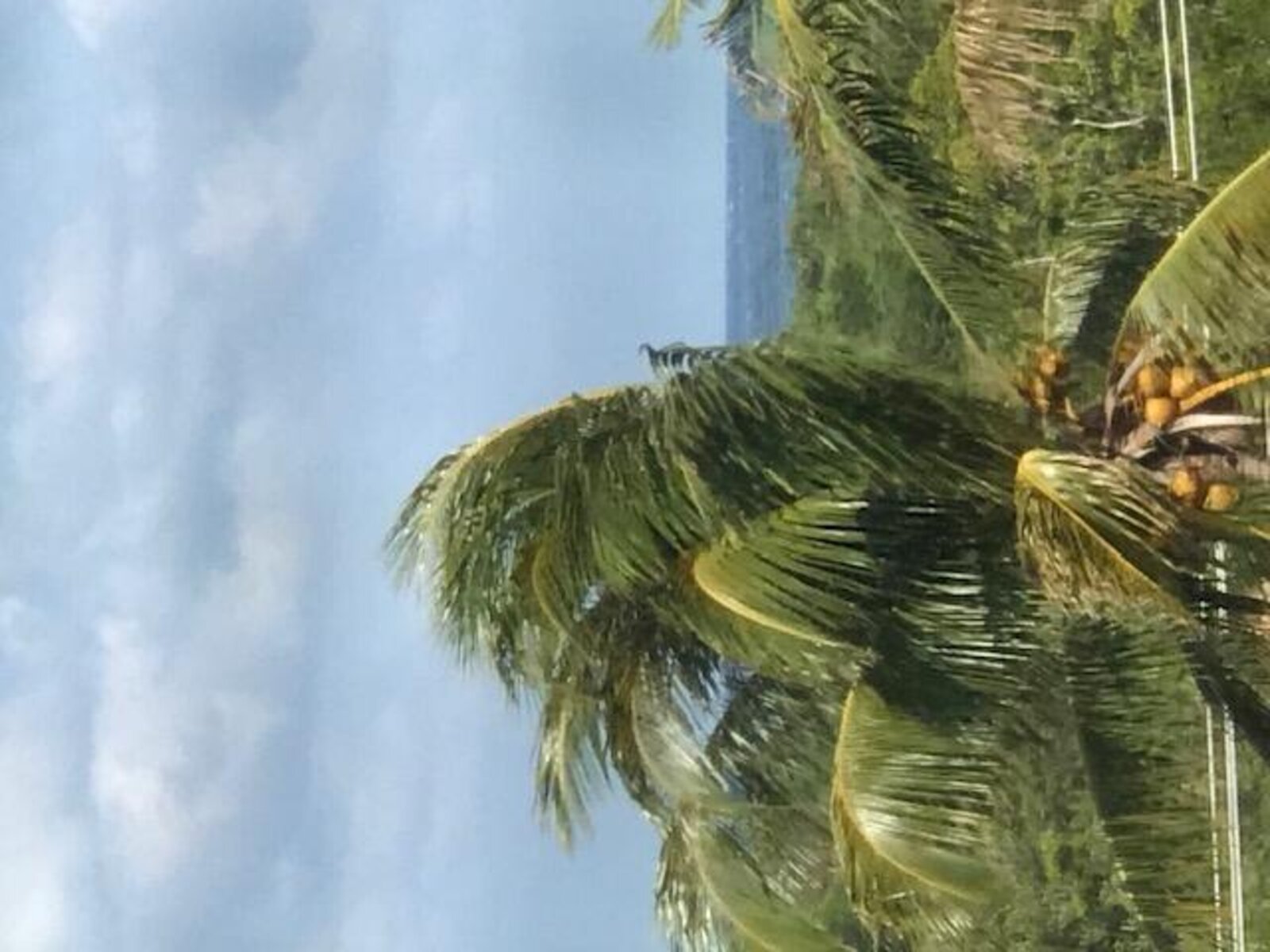 Image - 2