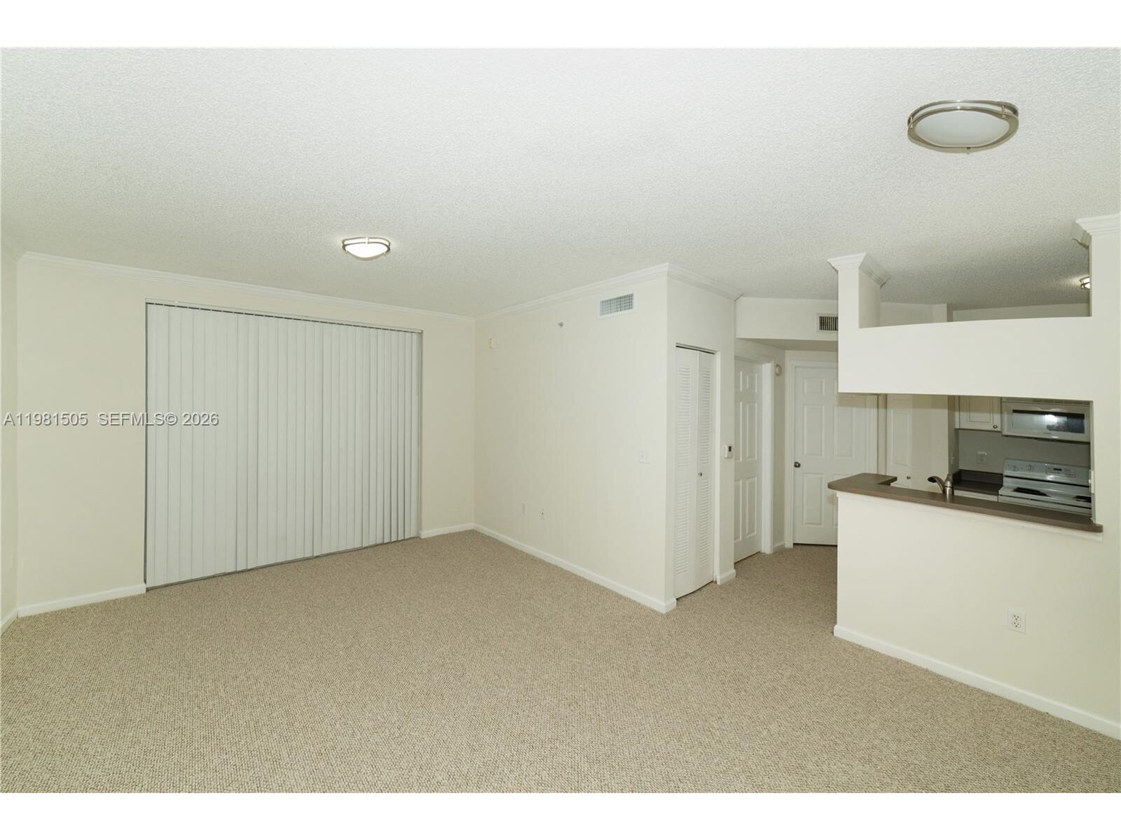 Image - 1