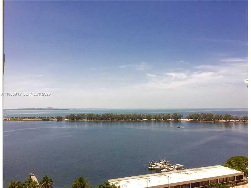 Image - 1