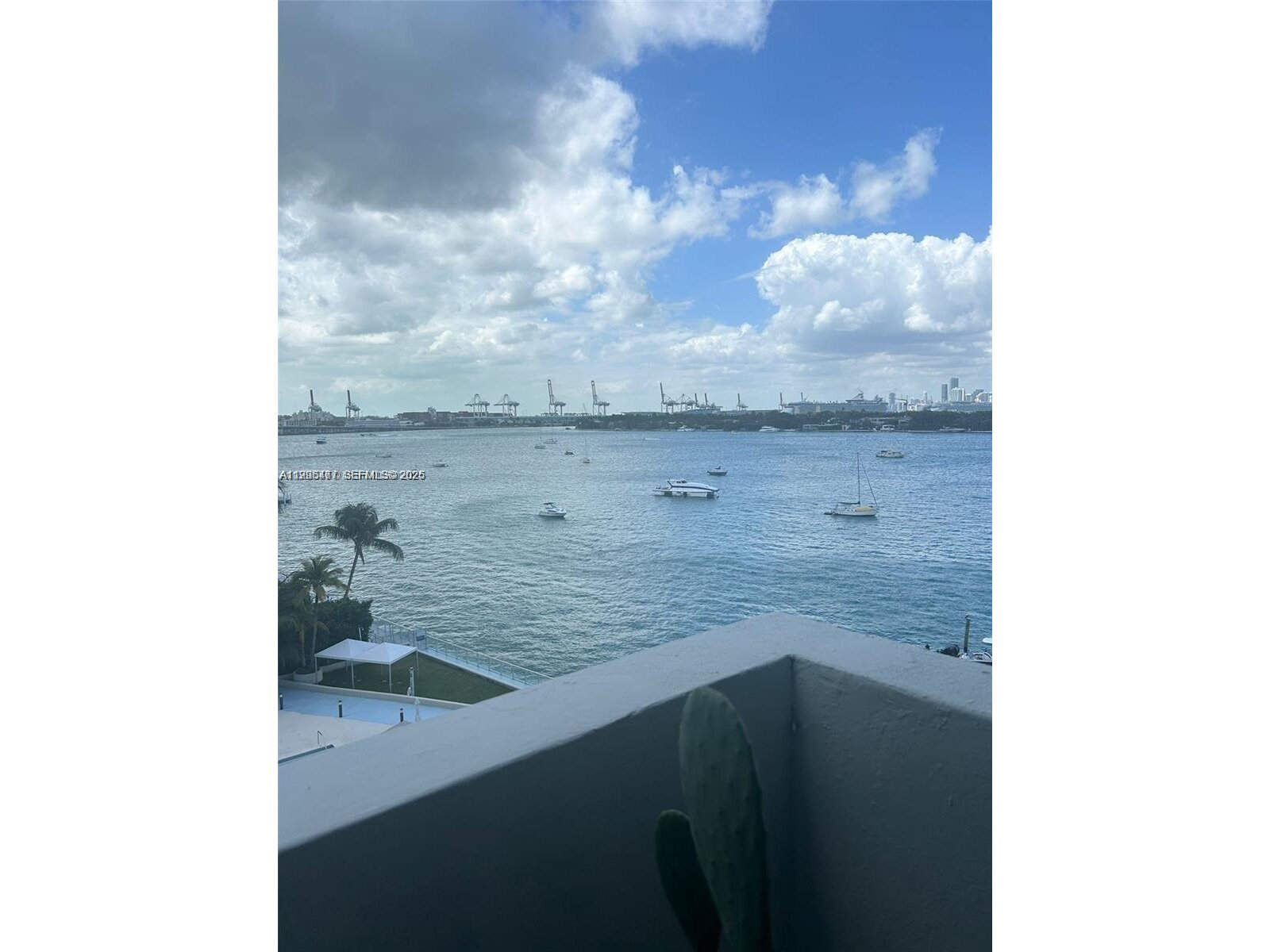 Image - 1