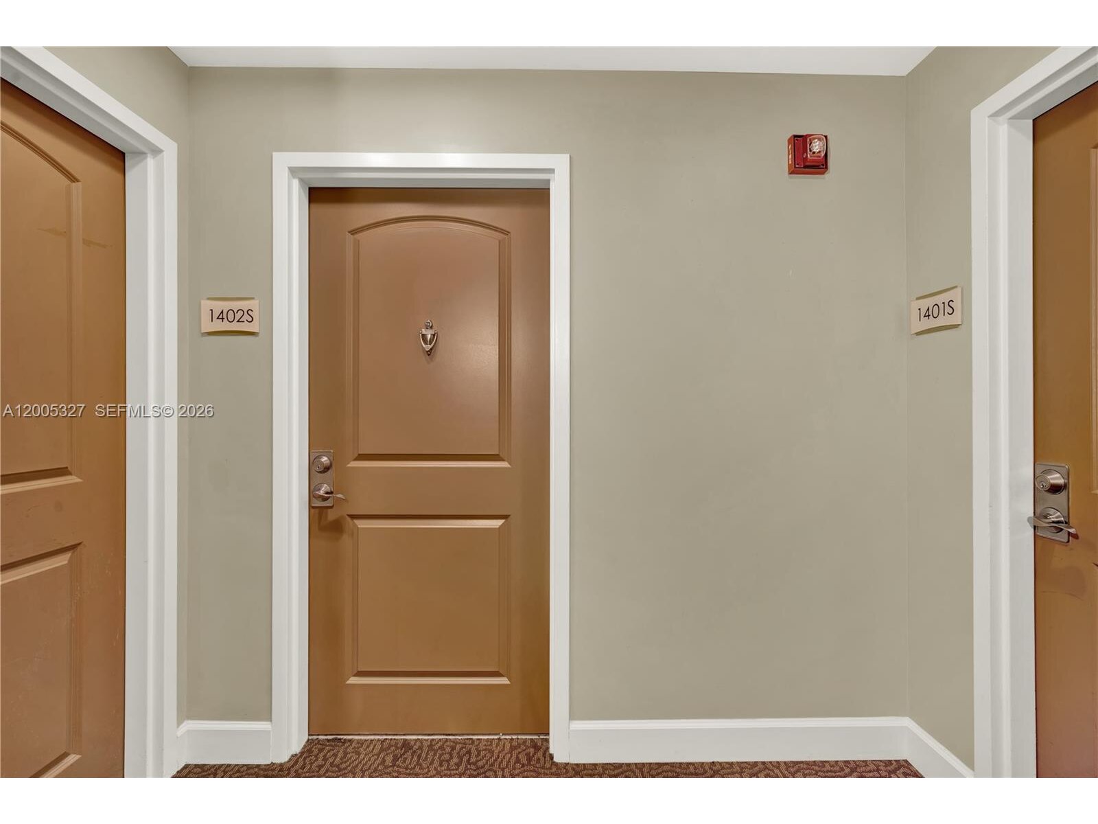 Image - 1