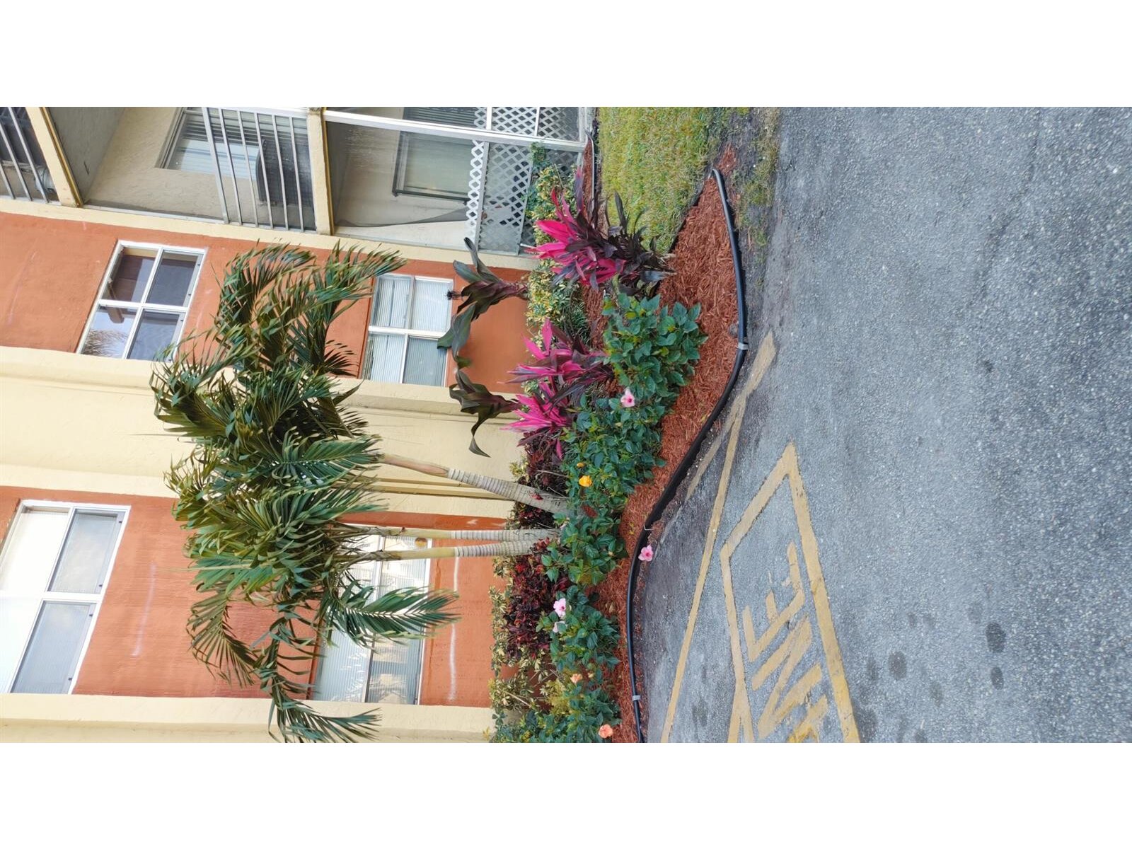 Image - 1