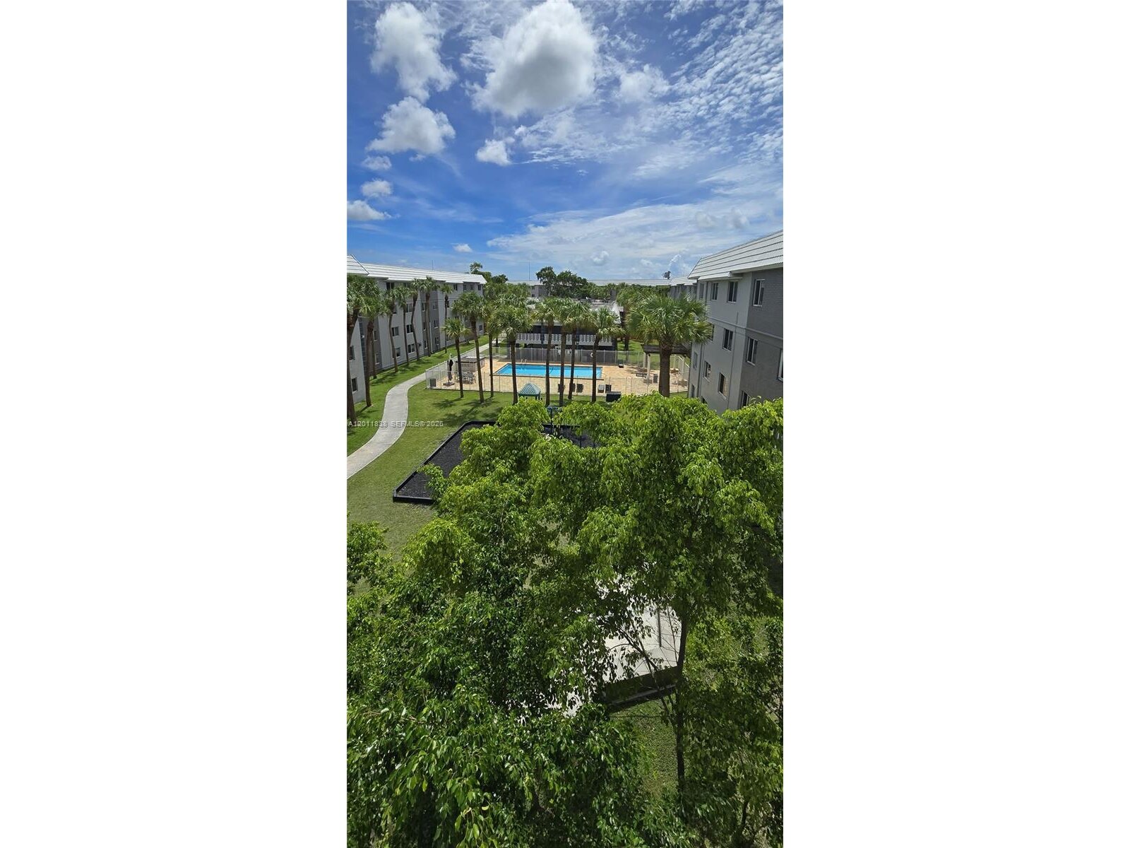 Image - 1