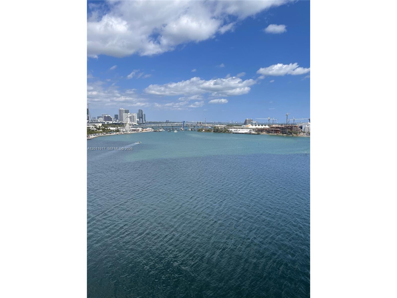Image - 1