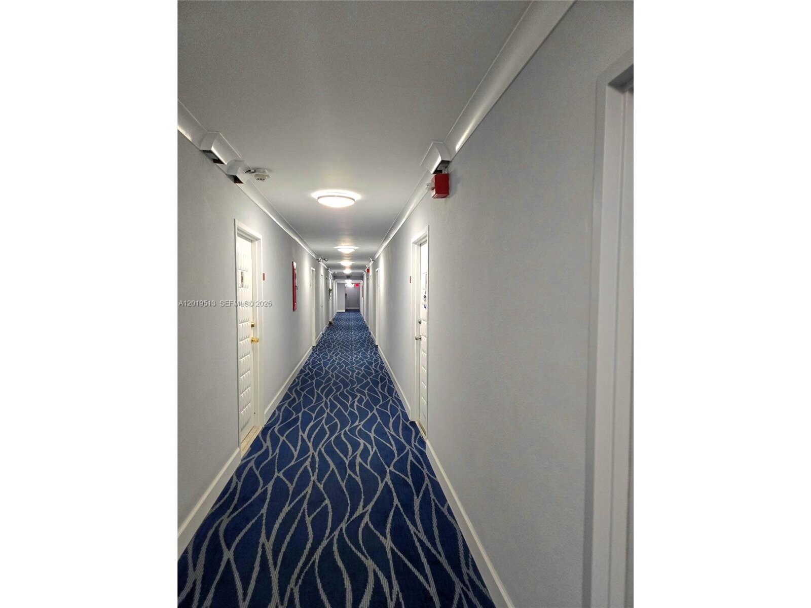 Image - 1