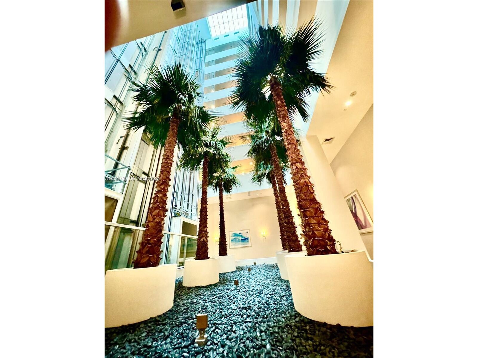 Image - 1