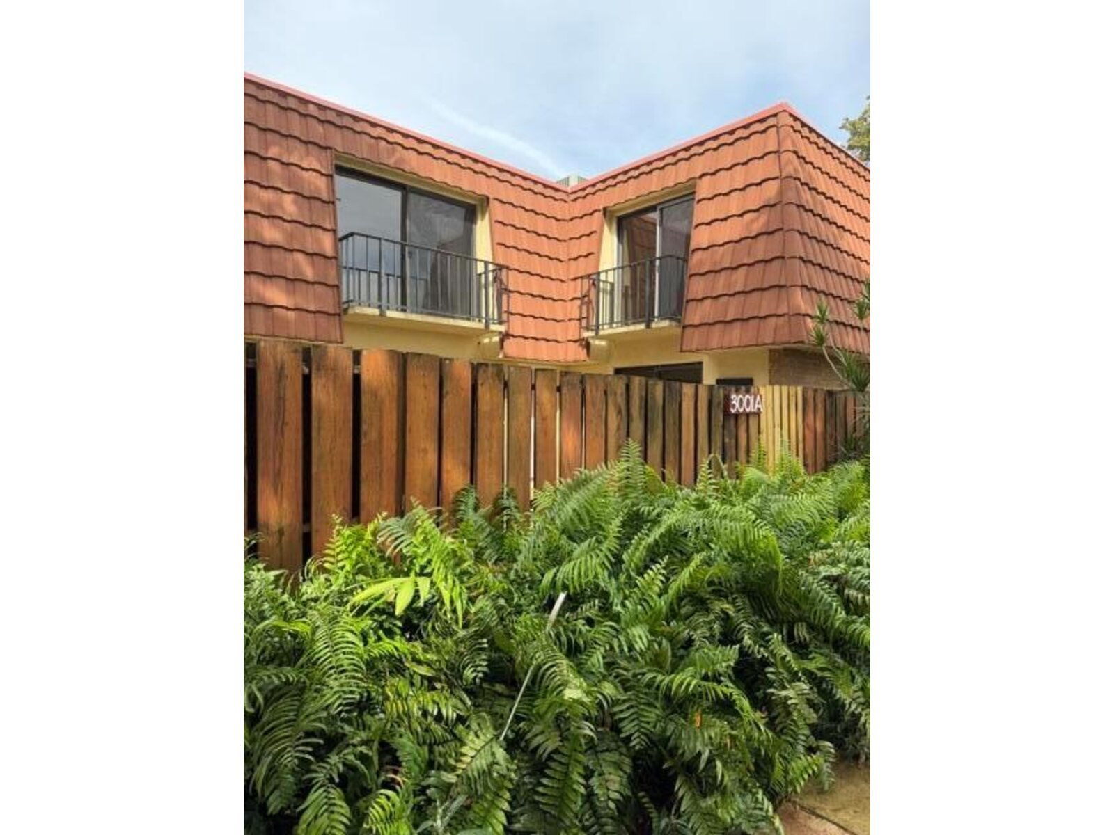 Image - 1