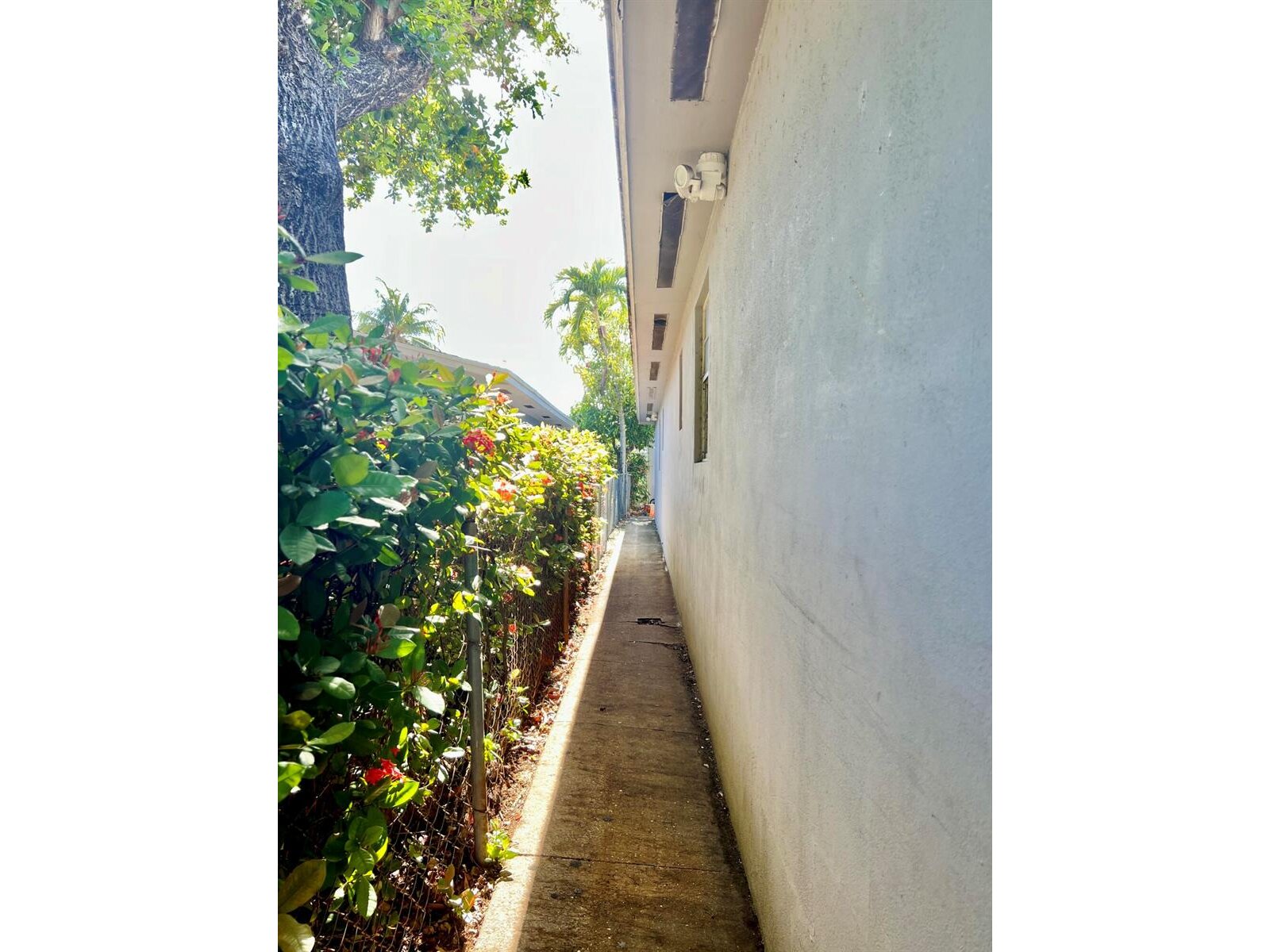 Image - 1