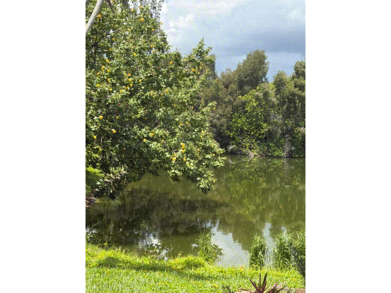 Image - 1