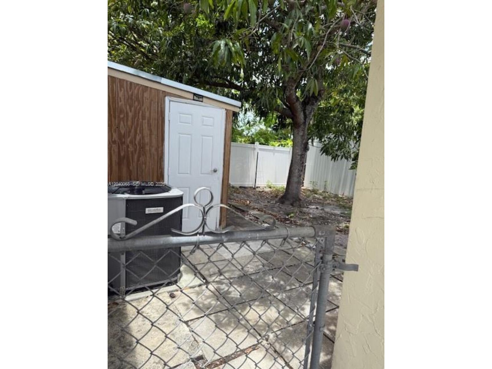 Image - 1