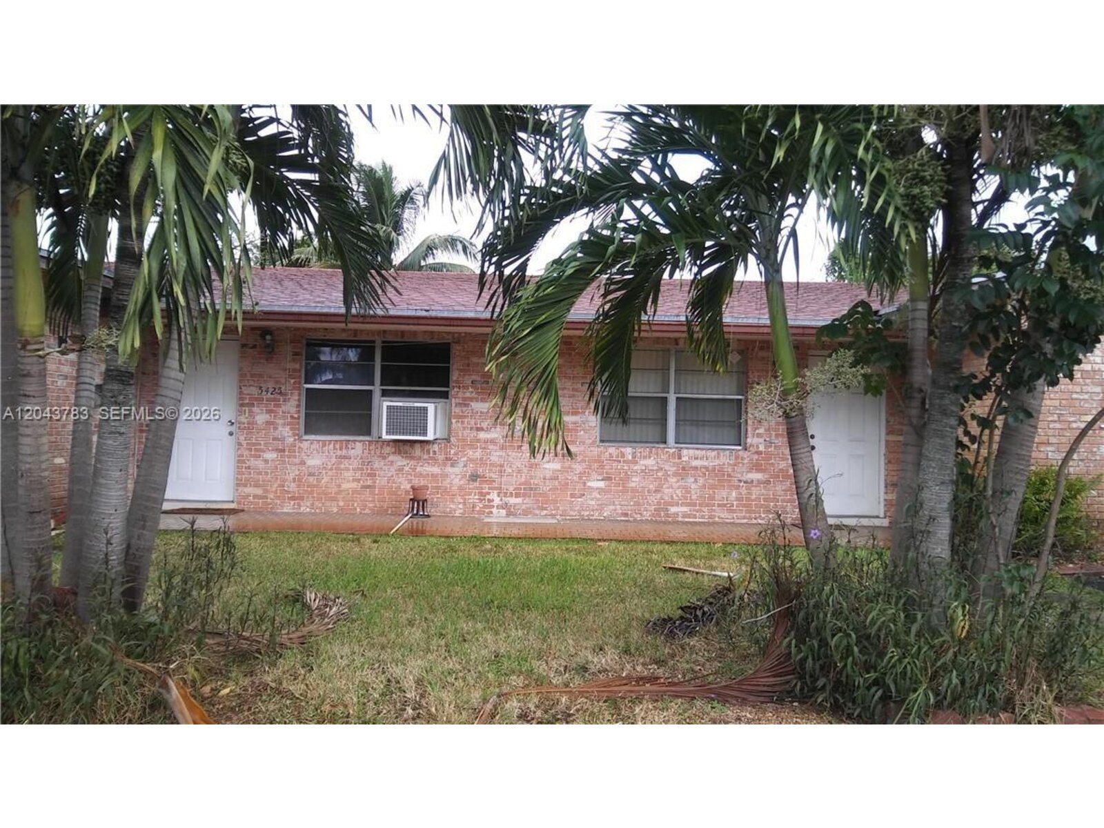 Image - 1