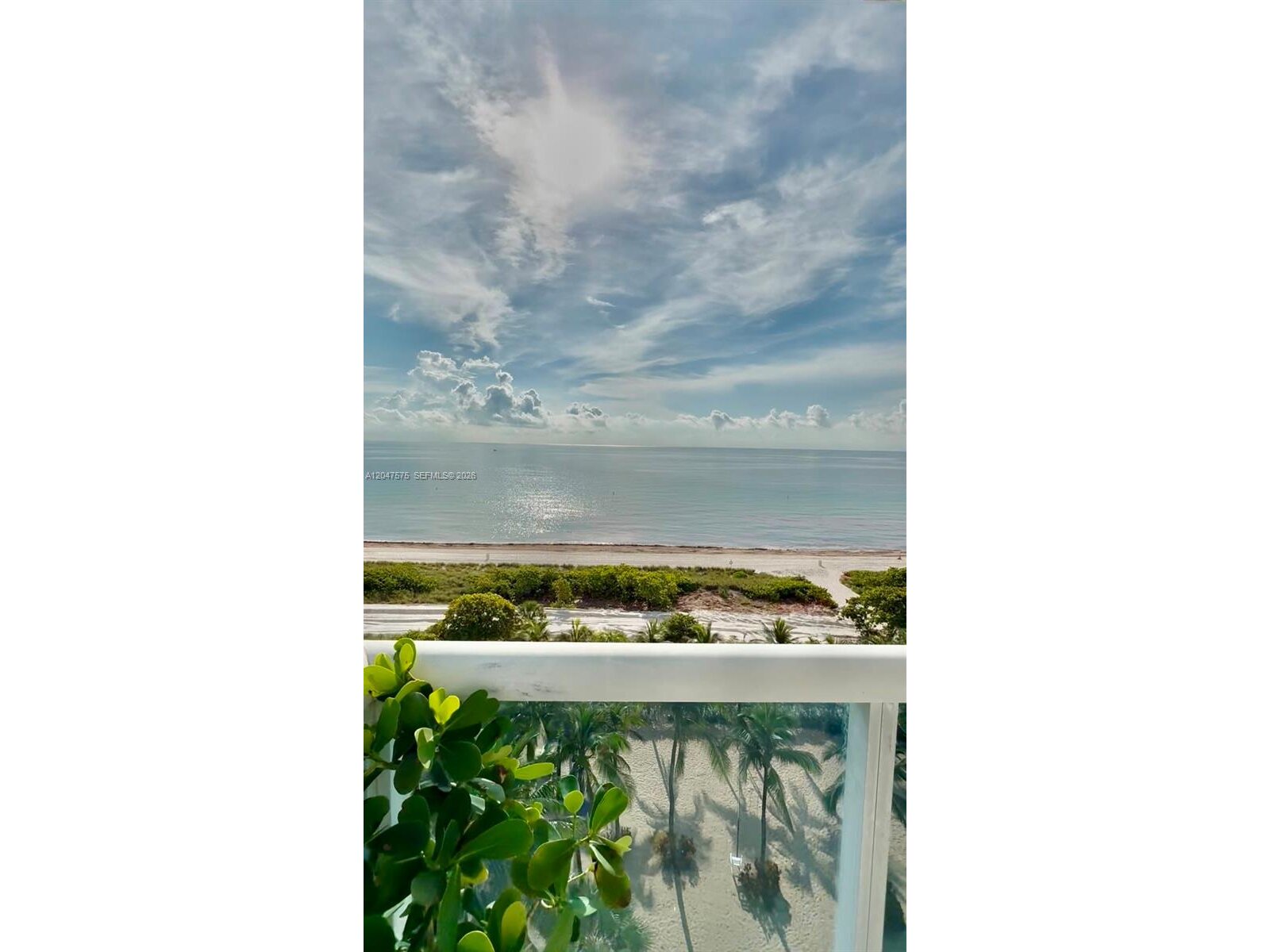 Image - 1