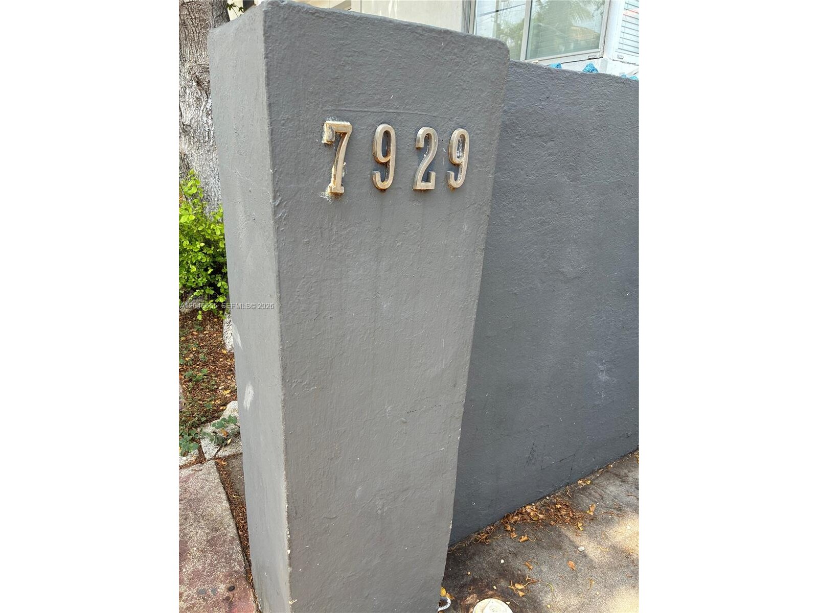 Image - 1