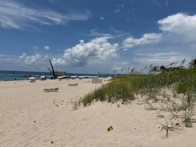 Image - 3