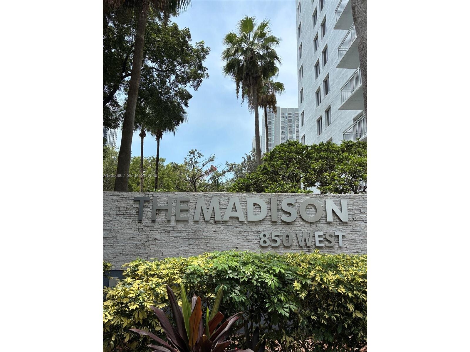 Image - 1