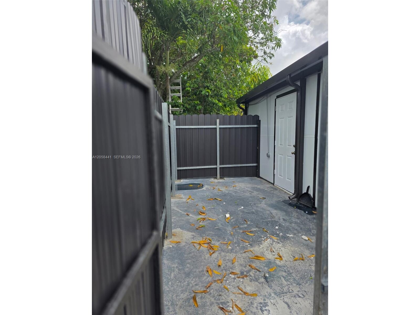 Image - 1