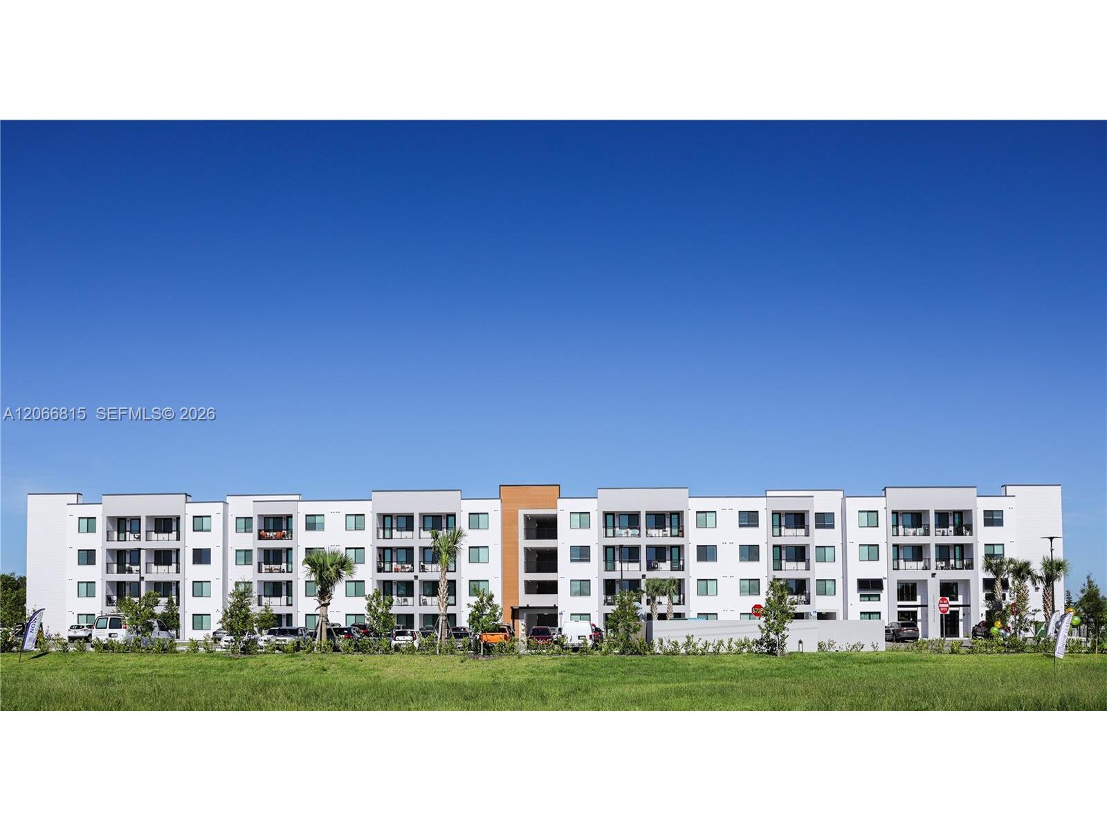 Image - 1