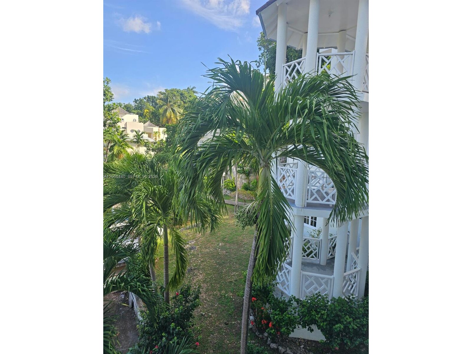 Image - 1