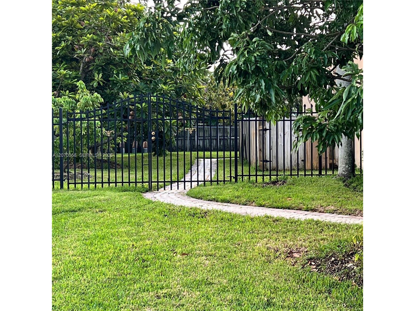 Image - 1