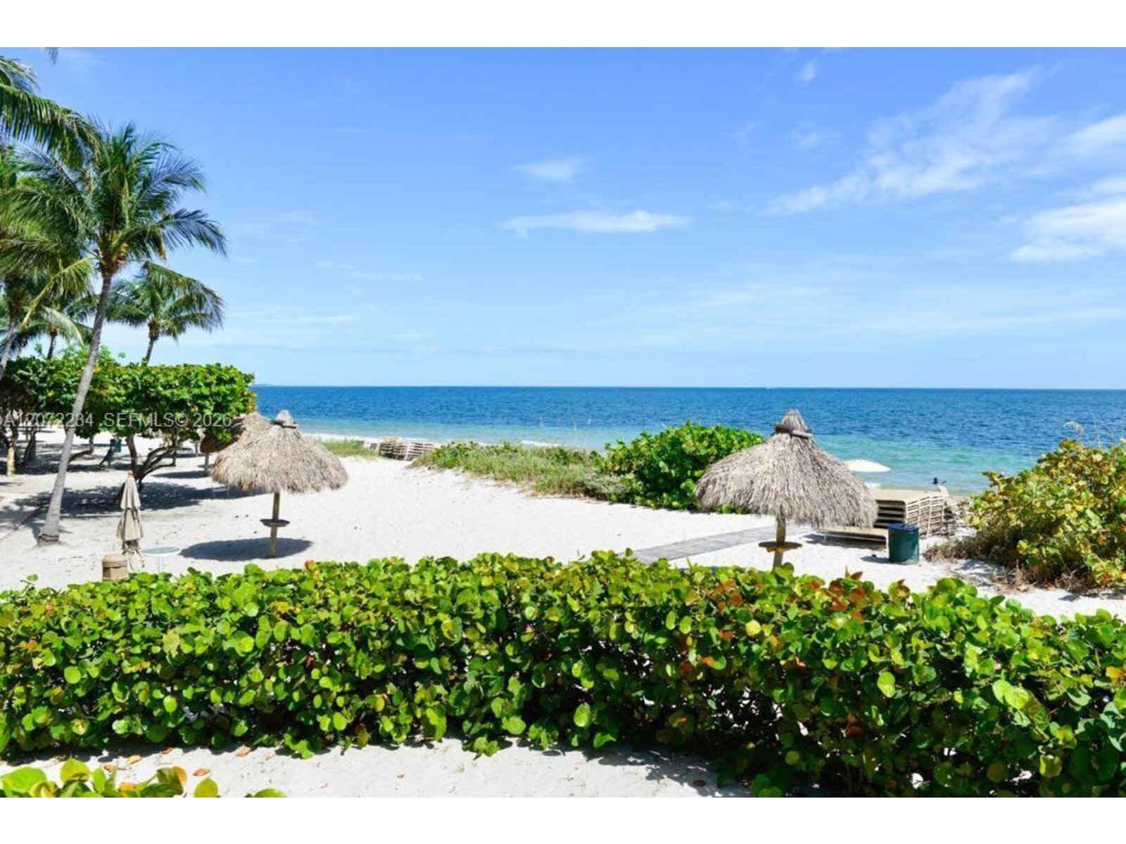 Image - 1